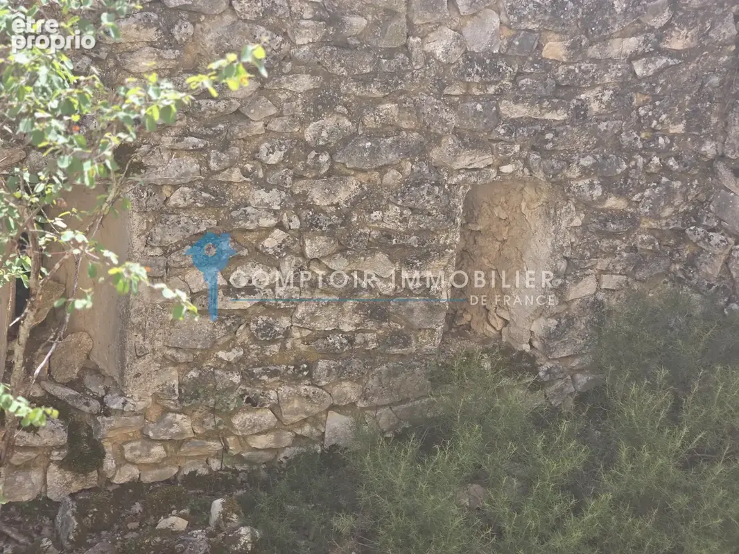 Terrain forestier avec ruine - photo 8