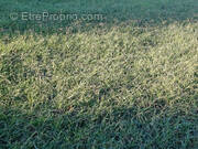 Terrain à ARGELES-SUR-MER