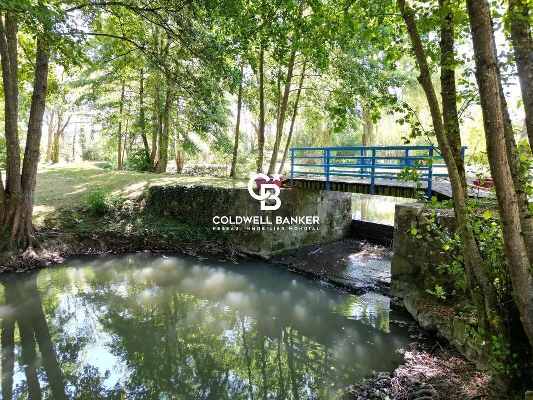 Ancien moulin de caractère – Un havre de paix au cœur de la nature - photo 14