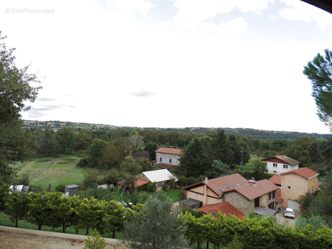 Commerce à TALUYERS