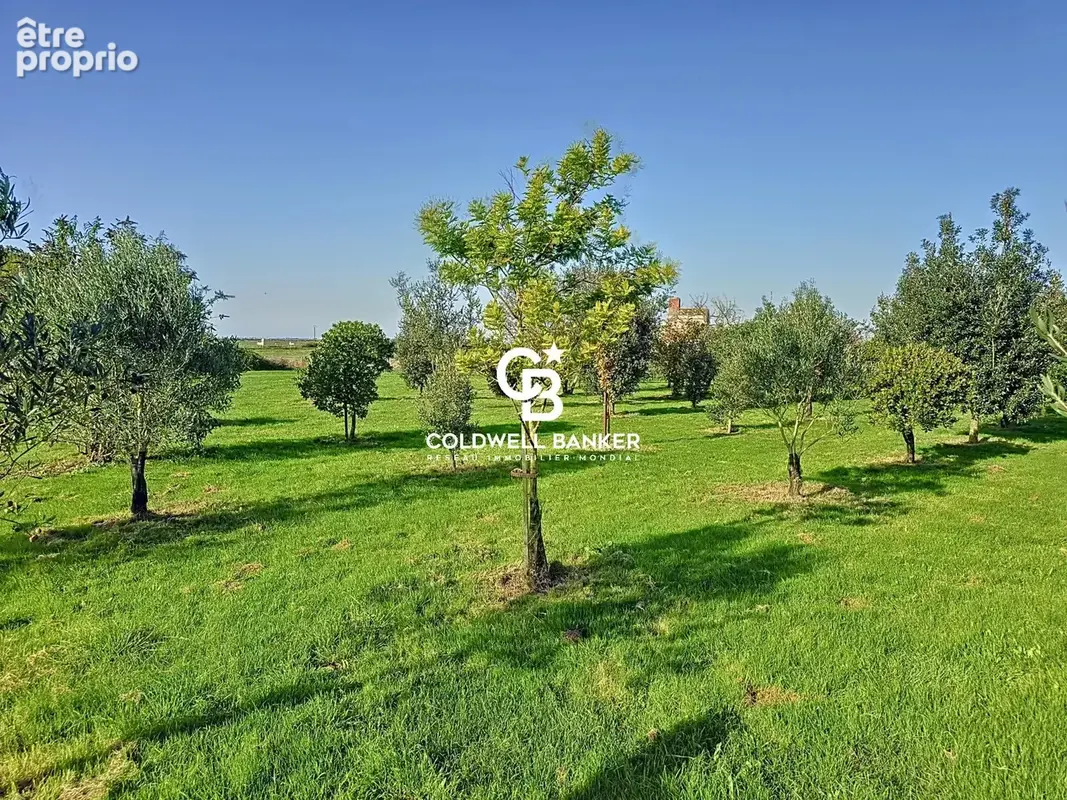 Belle Maison avec terrain et grande dépendance 180 m² aménageable de - photo 15