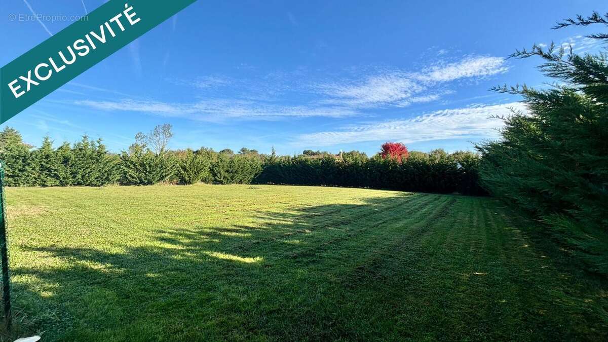 Photo 4 - Terrain à FRONTON