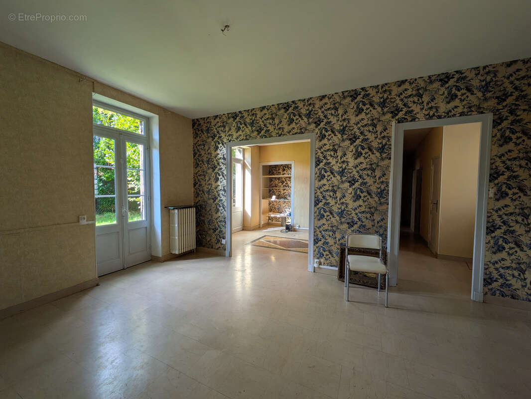 Belle demeure bourgeoise ANNONAY avec jardin - photo 5