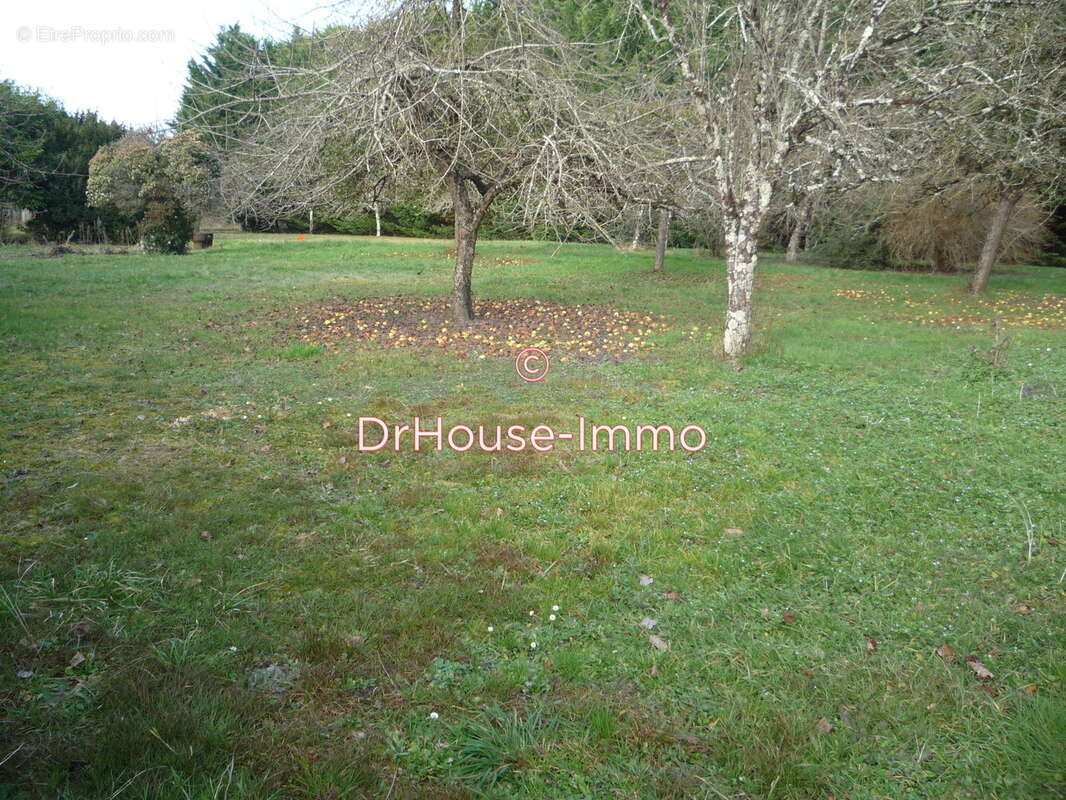 Terrain à MAZIERES-DE-TOURAINE
