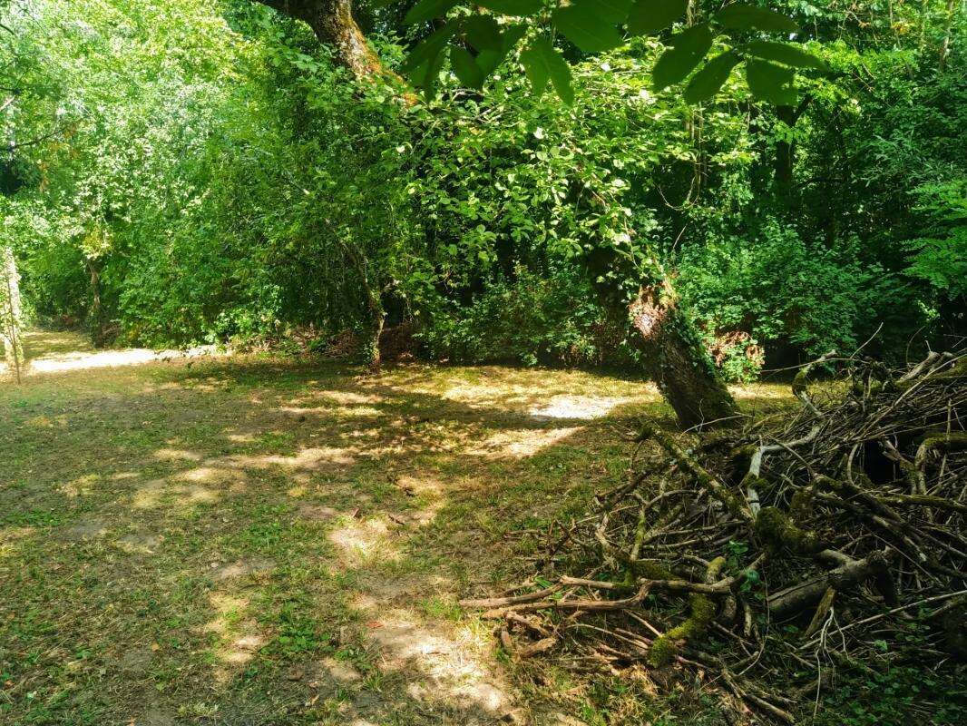 Maison avec son parc en bord de rivière - photo 3