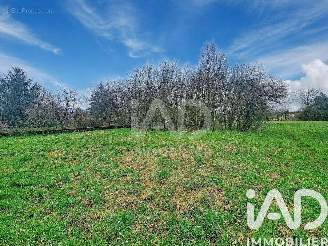 Photo 3 - Terrain à MERVILLER