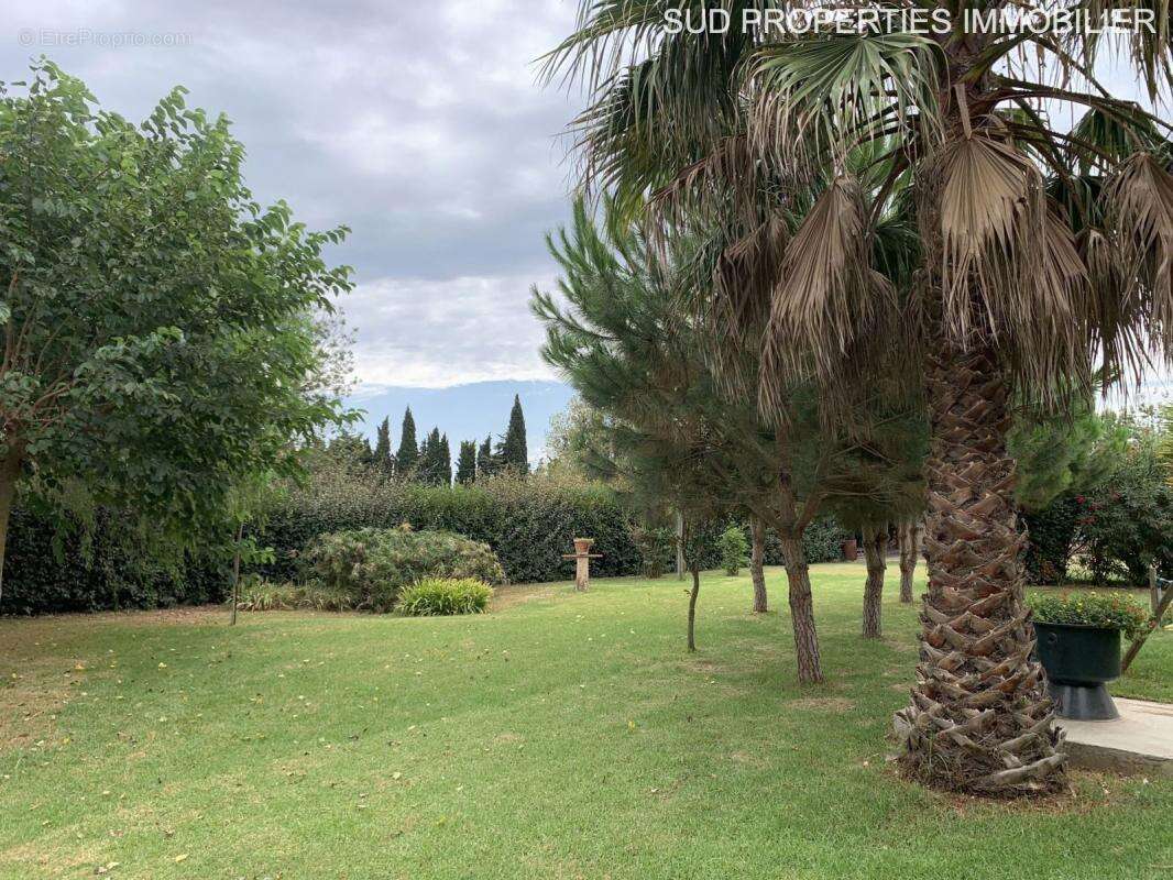 Maison à TORREILLES