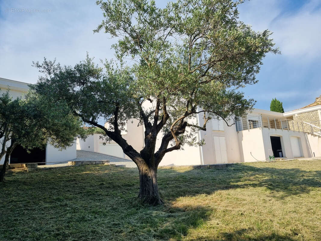 Maison à MANOSQUE