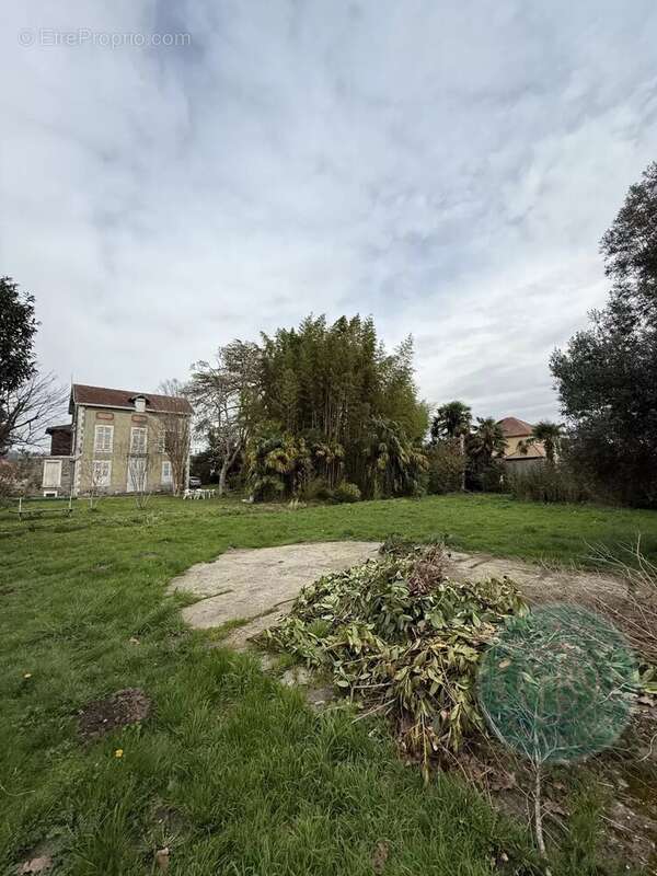 Maison de maître avec dépendance et terrain - photo 13