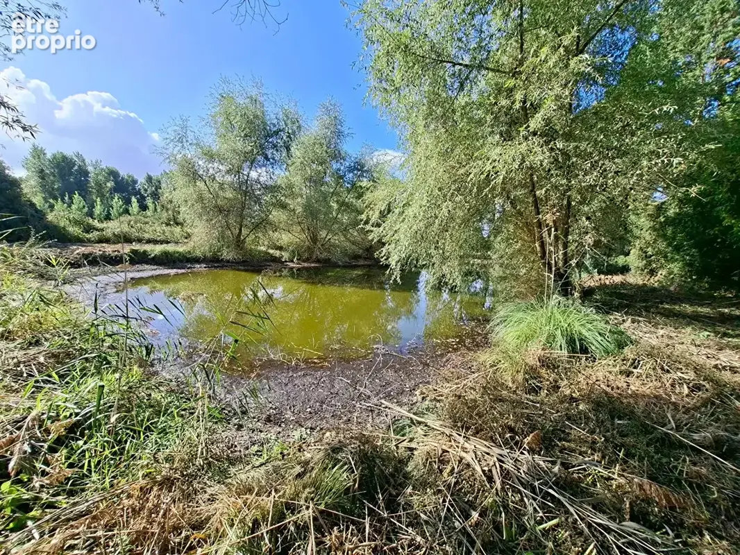 Etang Pierrepont 4872 m2 - photo 4