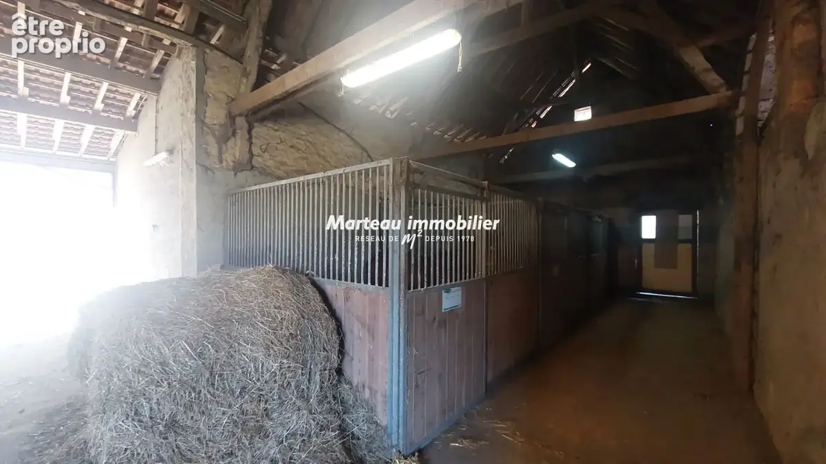 Propriété équestre à quelques kilomètres de Sablé-sur-Sarthe - photo 7