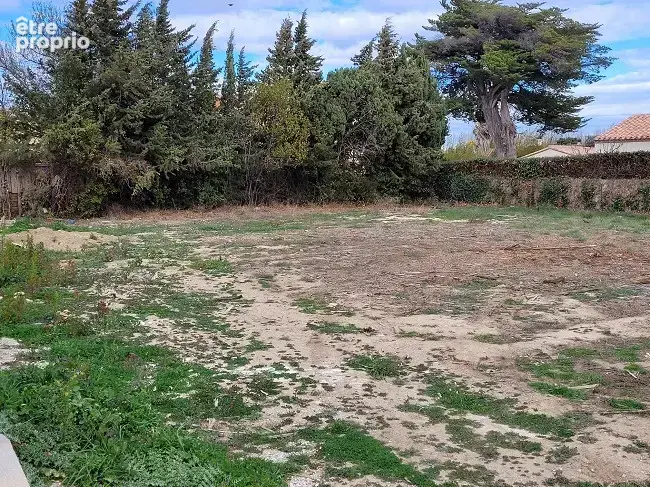 Terrain à ILLE-SUR-TET