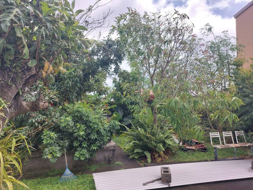 Terrain à SAINT-ANDRE