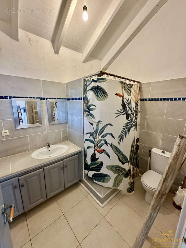 Appartement à SAINT-MARTIN