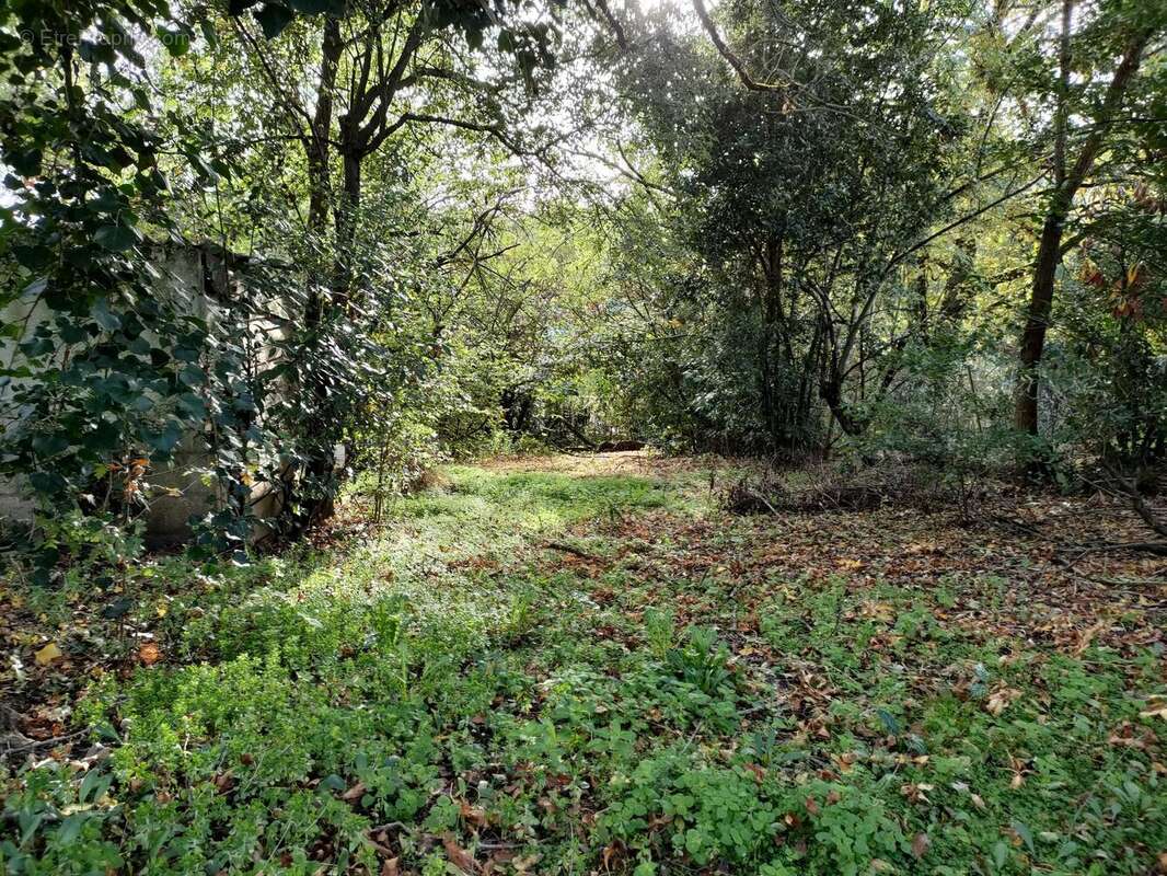 Terrain 634 M2 Palaiseau - photo 2