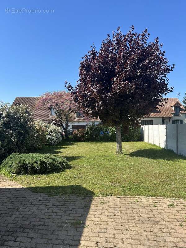 Maison 115 m² à Olivet  - photo 8
