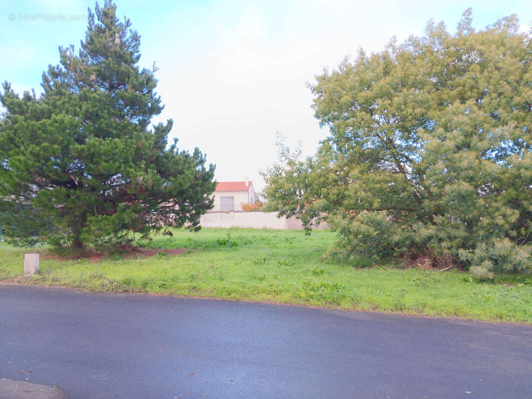 Terrain à SAINT-MICHEL-EN-L&#039;HERM