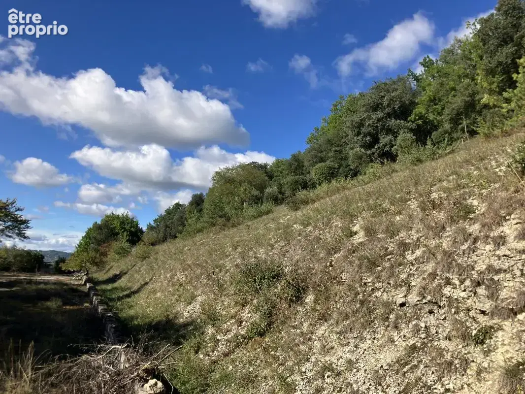Terrain constructible de 7723m2 avec vue sur la Dordogne à Castels-et-Bézenac - photo 8