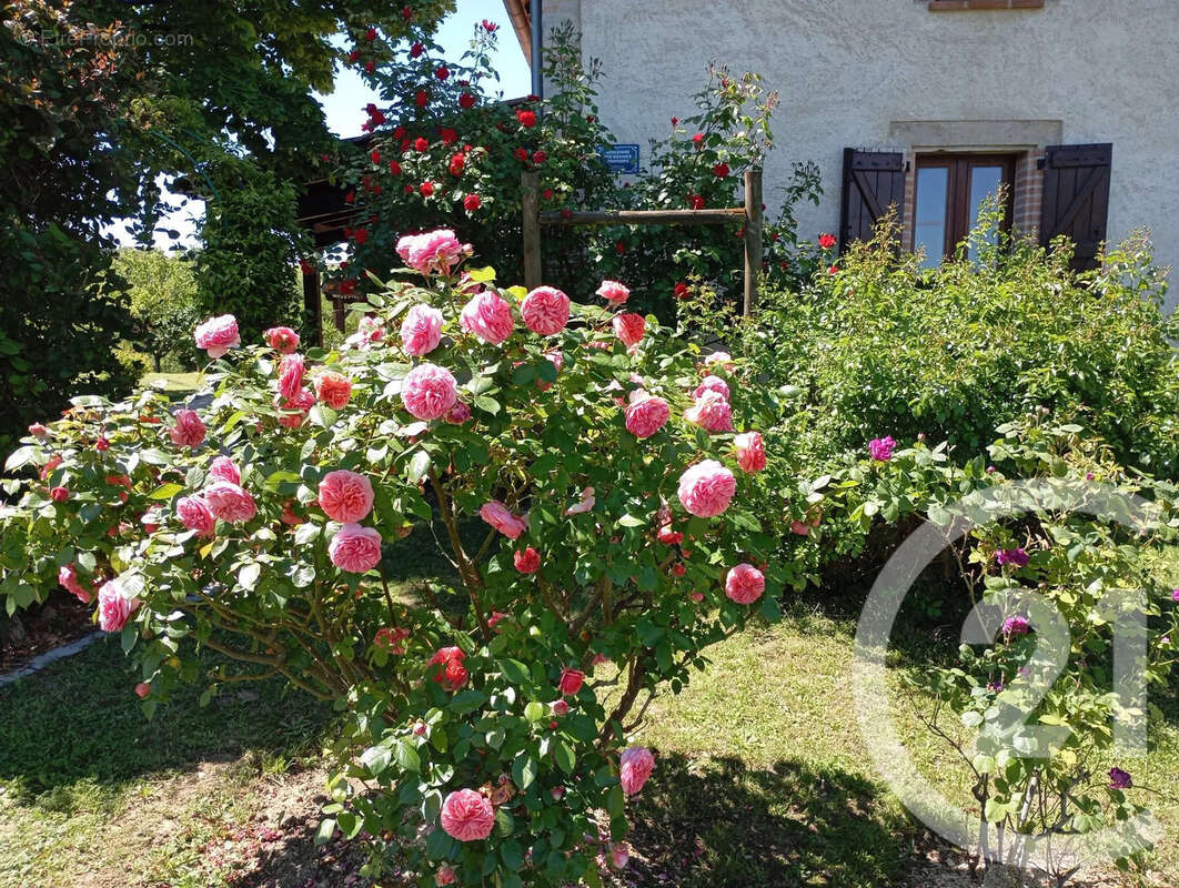 Maison à MONTGAILLARD
