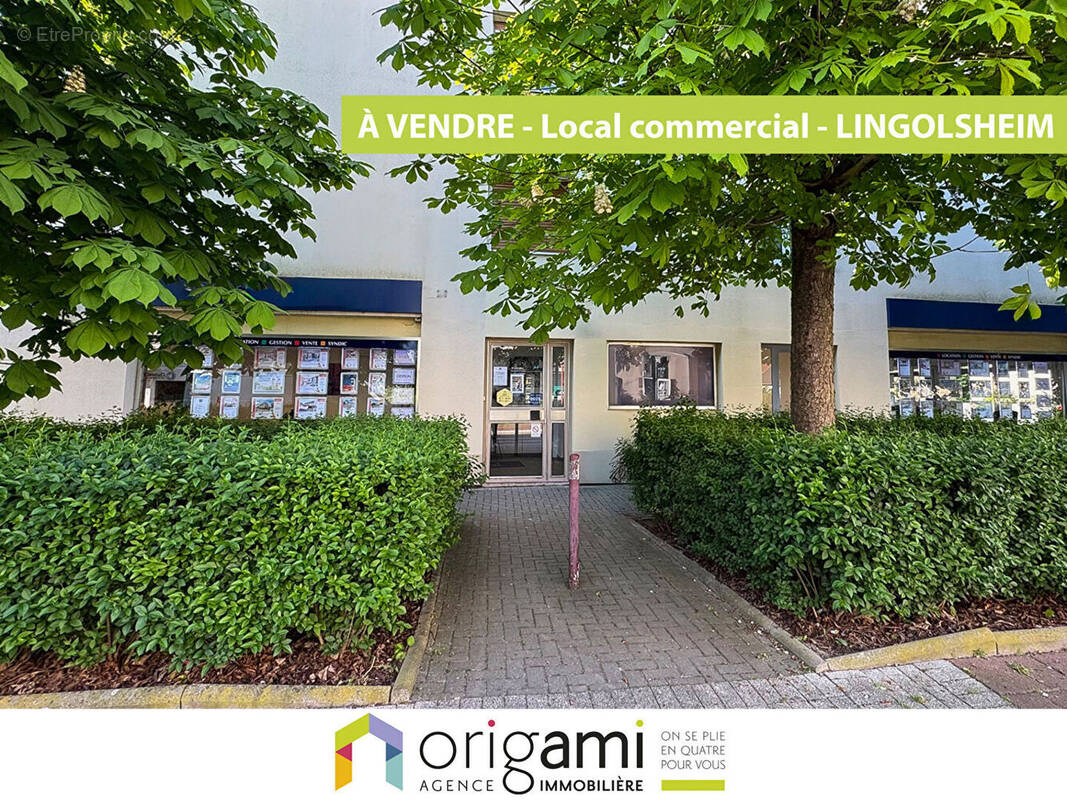Commerce à LINGOLSHEIM