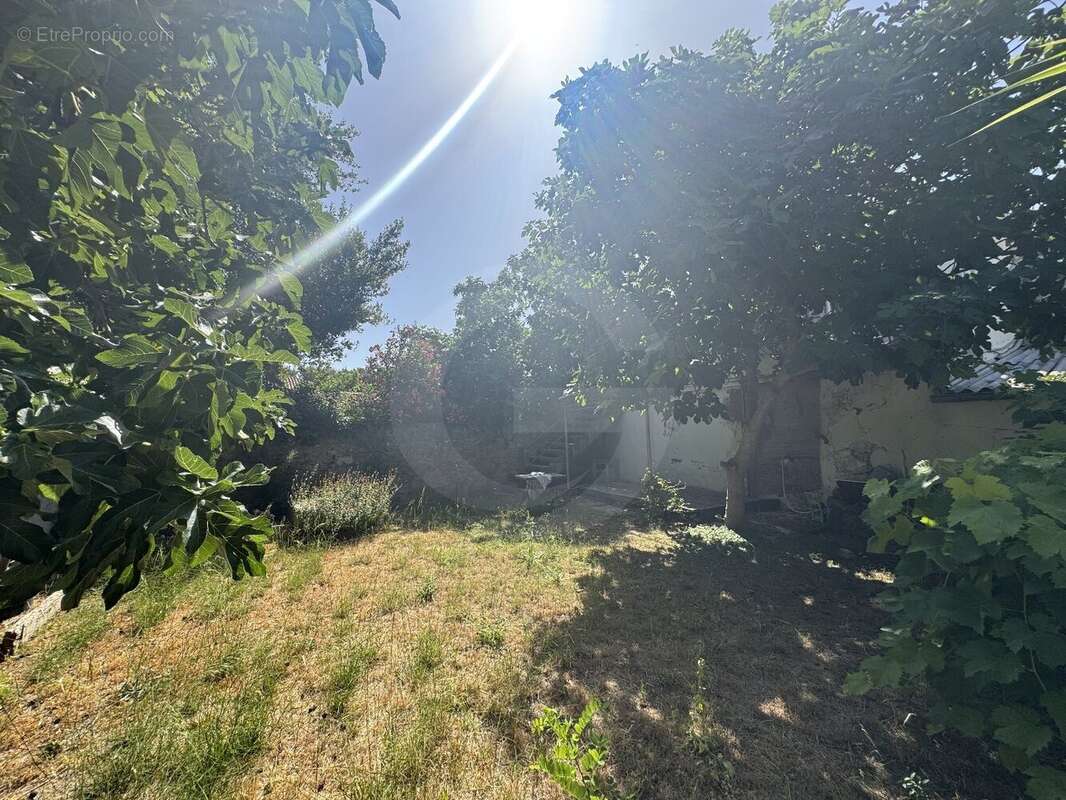 Bouzigues  Emplacement d'exception au cur du village - photo 12