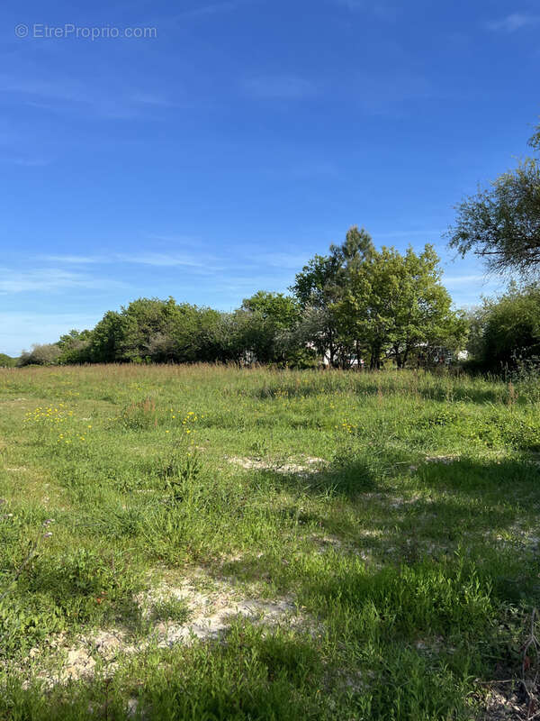Terrain à LES SABLES-D'OLONNE