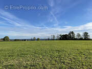 Terrain à NAY
