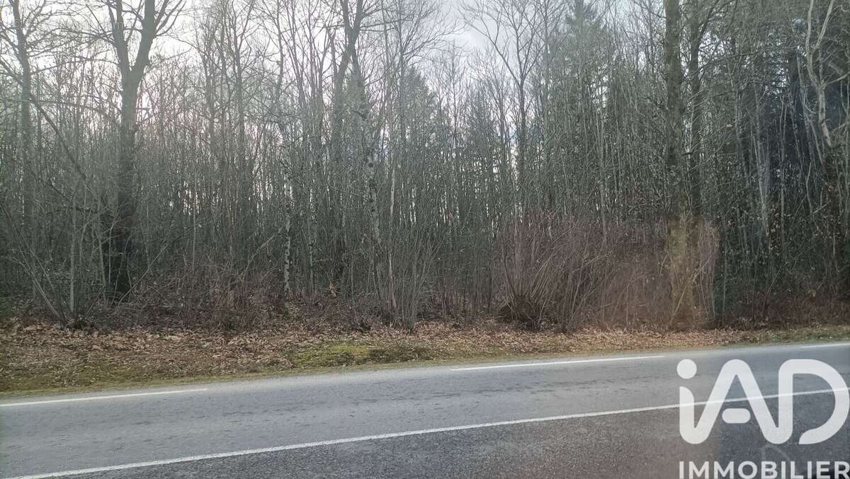 Photo 2 - Terrain à SAINT-JUNIEN