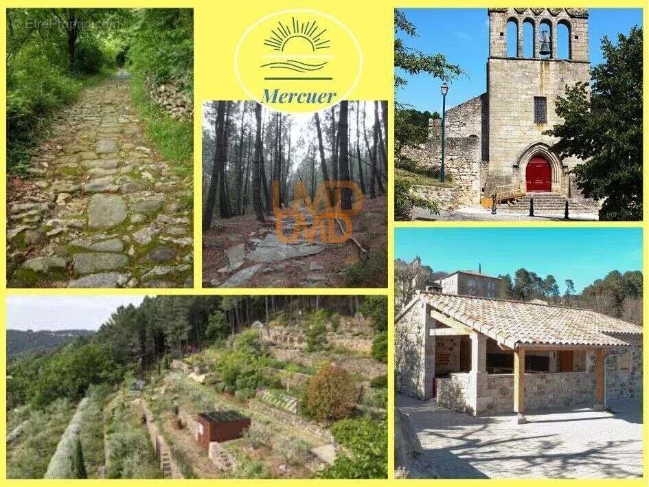 Maison à MERCUER