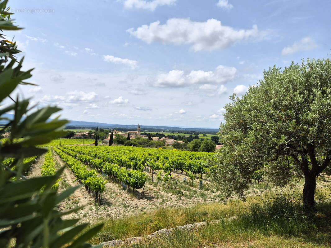 Maison à SAINT-PIERRE-DE-VASSOLS