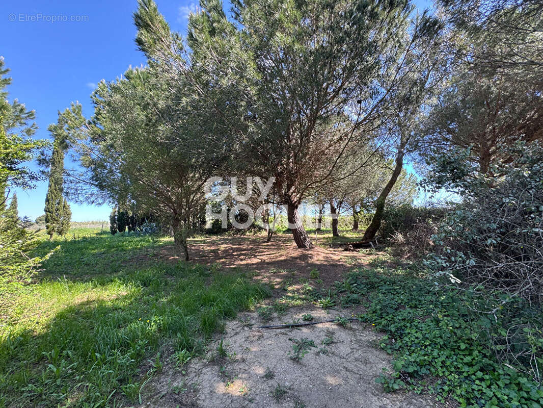 Terrain à SAINT-CYPRIEN