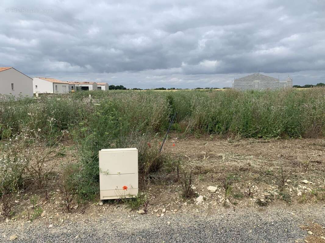 Terrain à SAINT-JEAN-DE-LIVERSAY