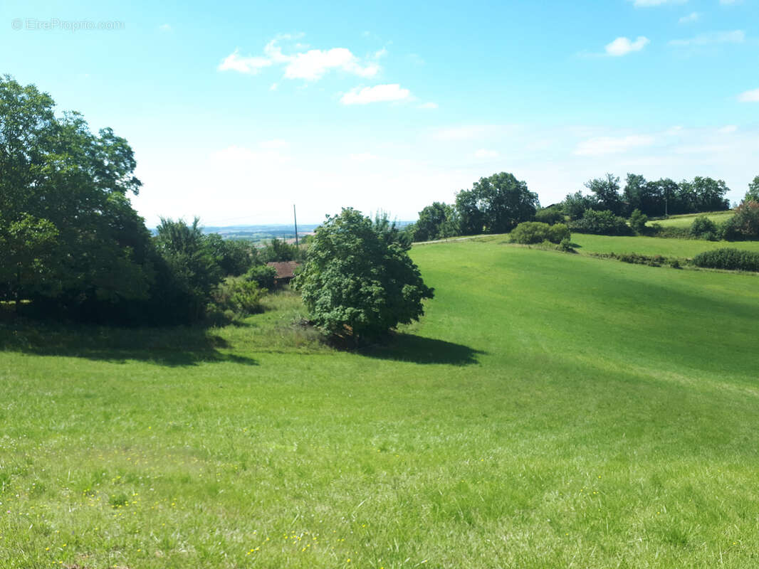 Maison à SAUVETERRE