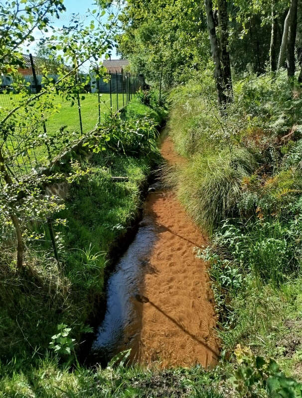Maison à MONT-DE-MARSAN