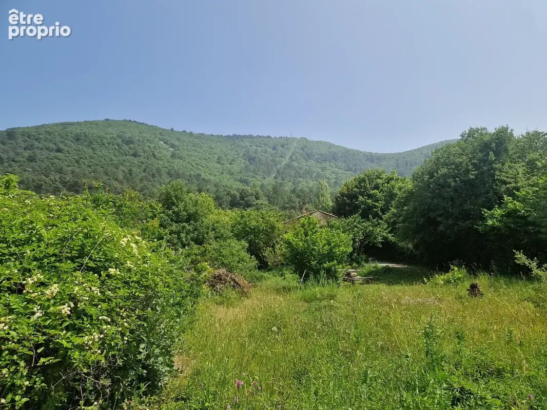 Cadre paradisiaque - photo 10