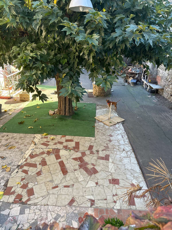 Maison à SAINT-LAURENT-D'AIGOUZE