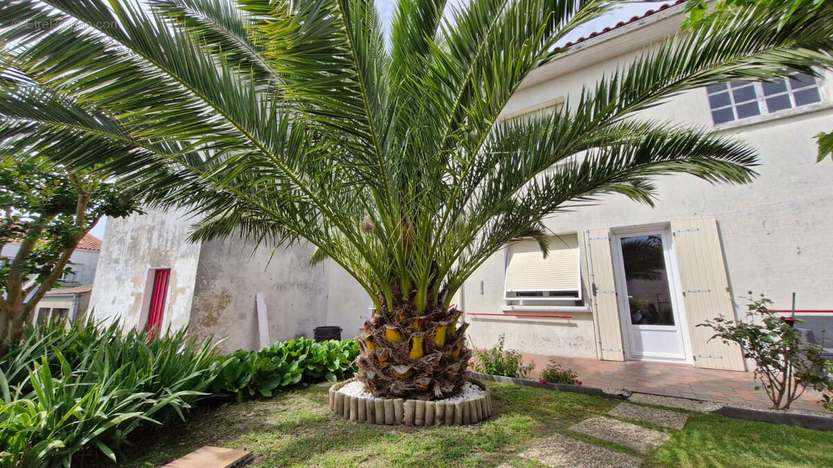 Maison à MORTAGNE-SUR-GIRONDE