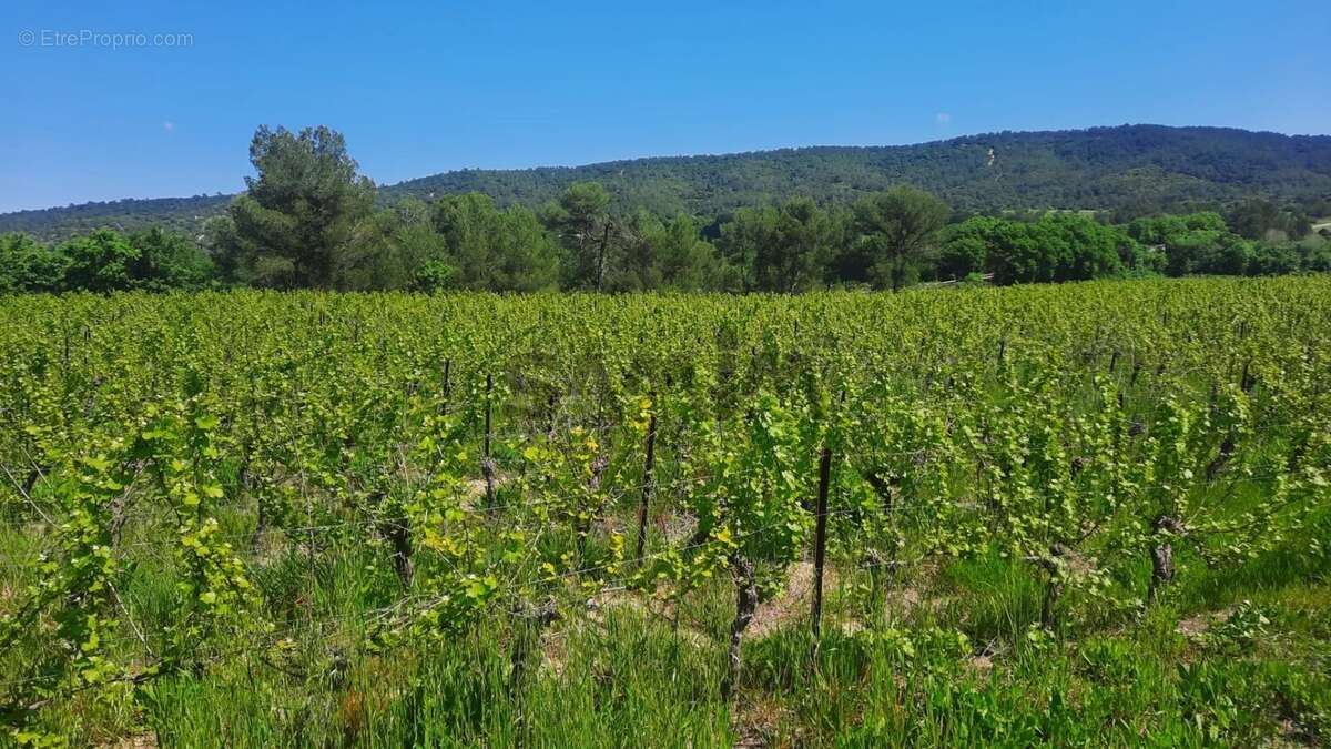 Terrain à CANNES-ET-CLAIRAN