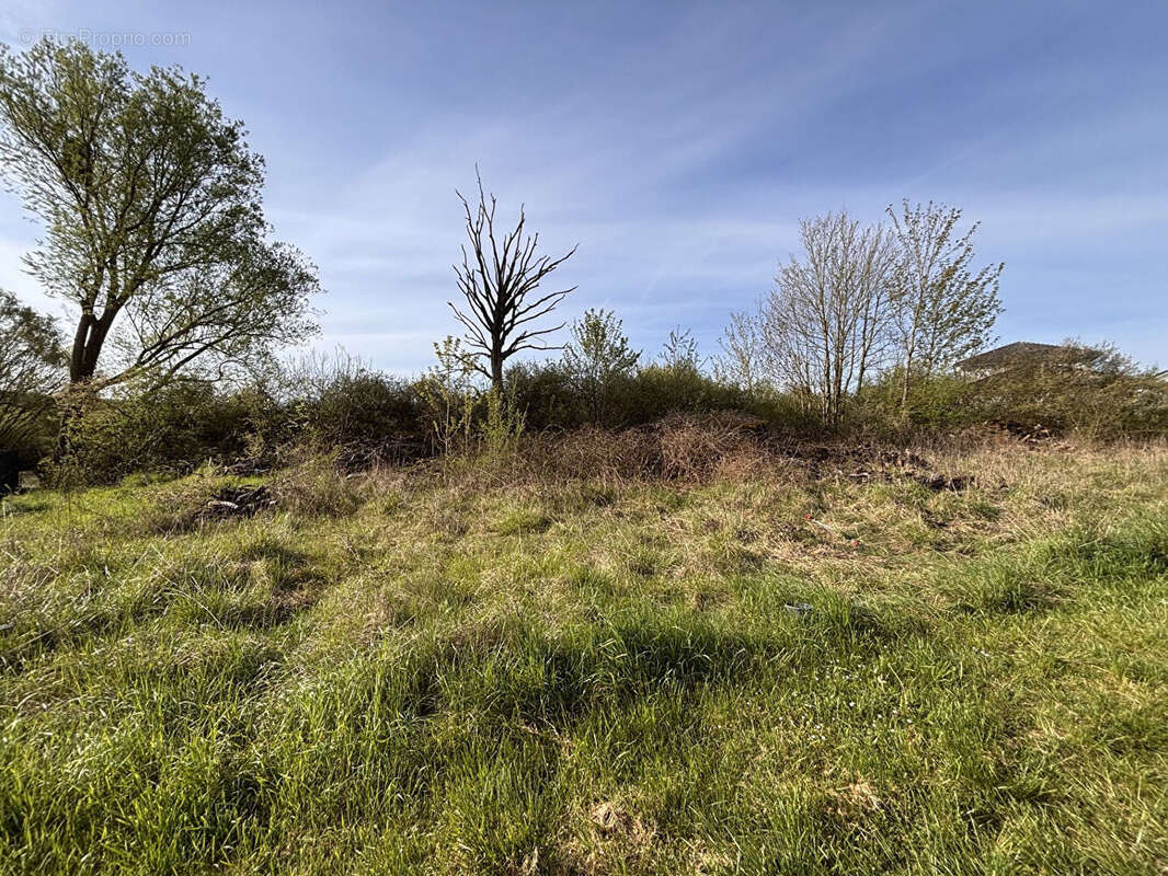 Terrain à RODALBE