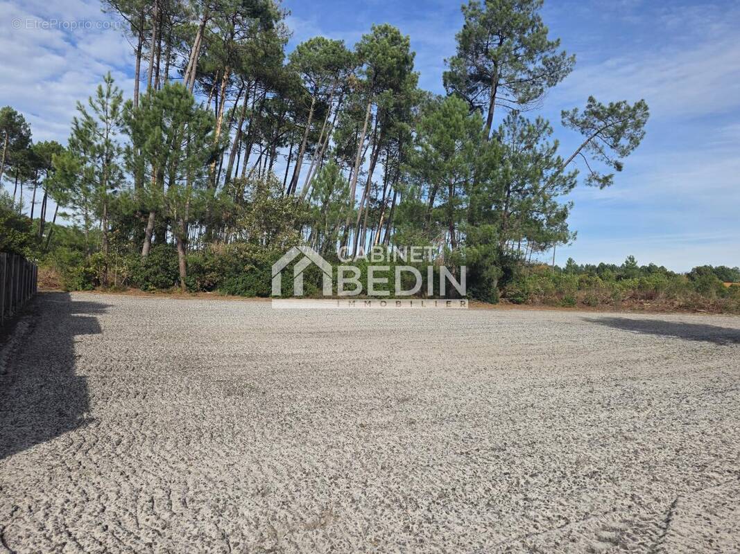 Terrain à BISCARROSSE