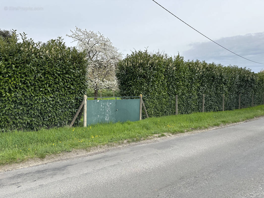 Terrain à BOUTIERS-SAINT-TROJAN