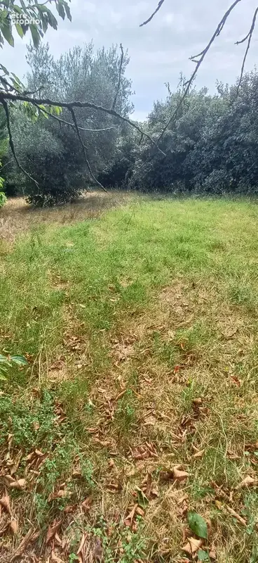 Beau Terrain surface rare - photo 8