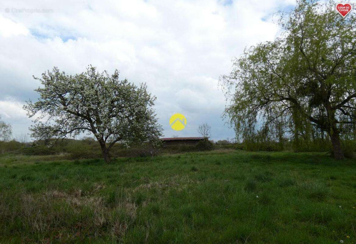 Terrain à COULLONS
