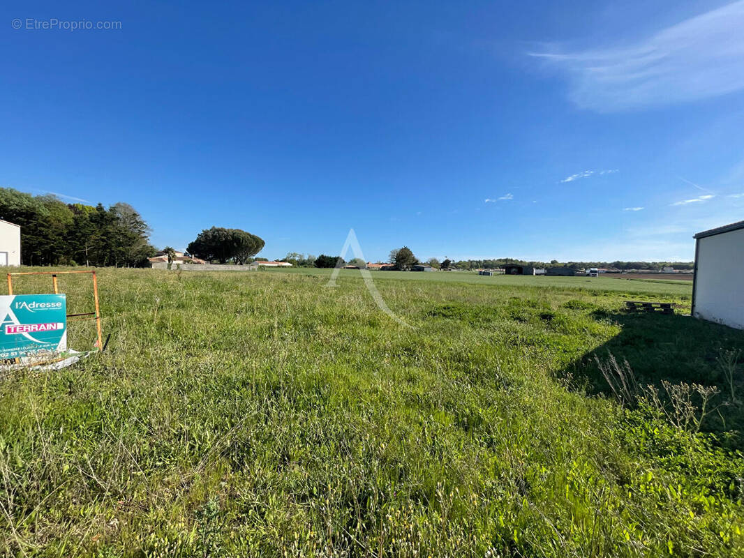Terrain à LONGEVILLE-SUR-MER