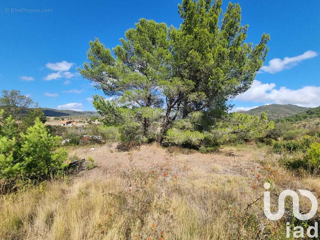 Terrain 1318 m² à Villeneuve-Les-Corbieres  - photo 6