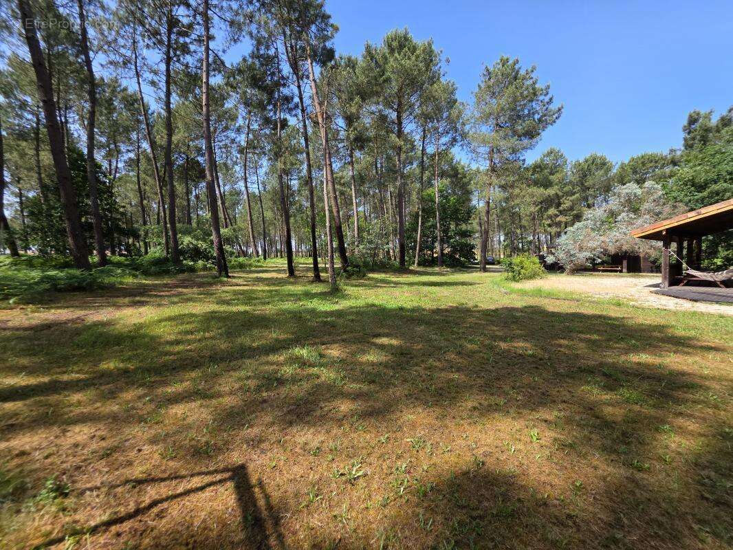 Maison 630 m² à Biscarrosse  - photo 7