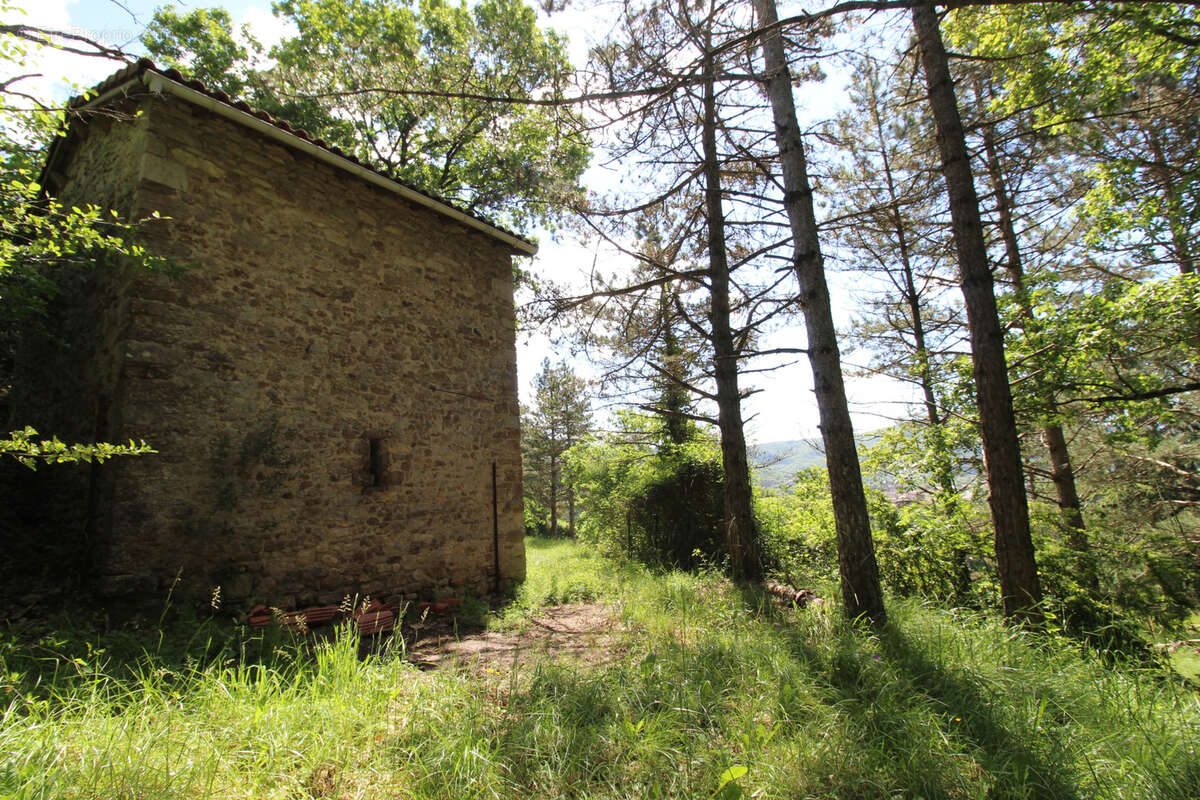 Terrain à SAINT-AFFRIQUE