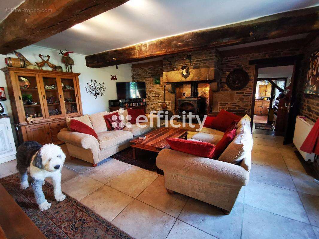 Maison 210 m² à Beauficel  - photo 45