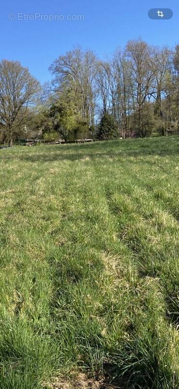 Terrain à CRECY-LA-CHAPELLE