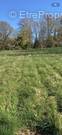 Terrain à CRECY-LA-CHAPELLE